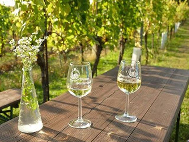 Premium Living in Stammersdorf Modernes Wohnen mit Freiraum und Natur