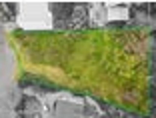 Premium Raumati Beach Section