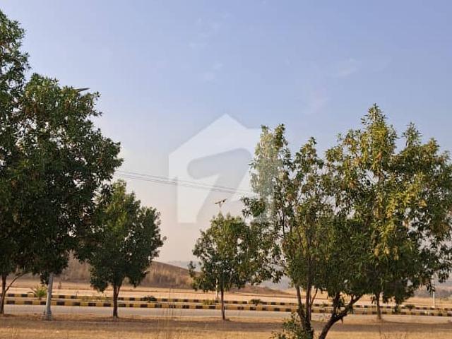 Premium Residential Plot for Sale in DHA Valley, Rose Block