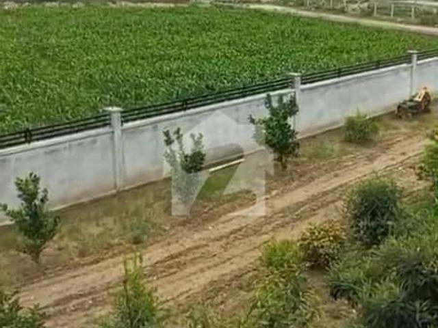 Premium River View Farmhouse for Sale 67 Kanal | Tarbela Ghazi