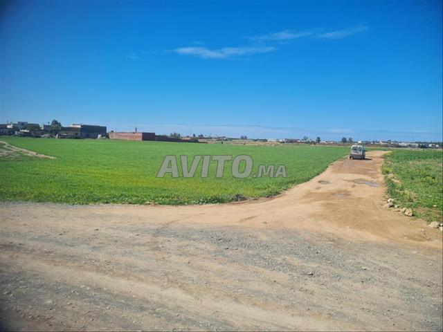 Près de la mer Terrains agricoles titrés Sidi Rahal