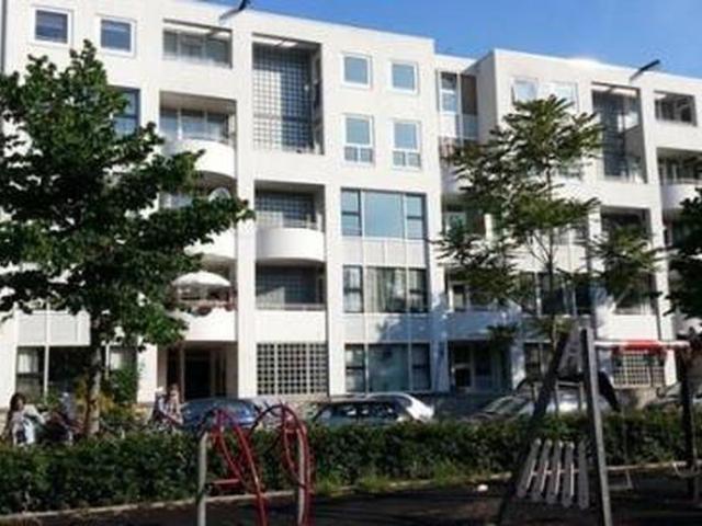 President Brandstraat 1091 VN Amsterdam