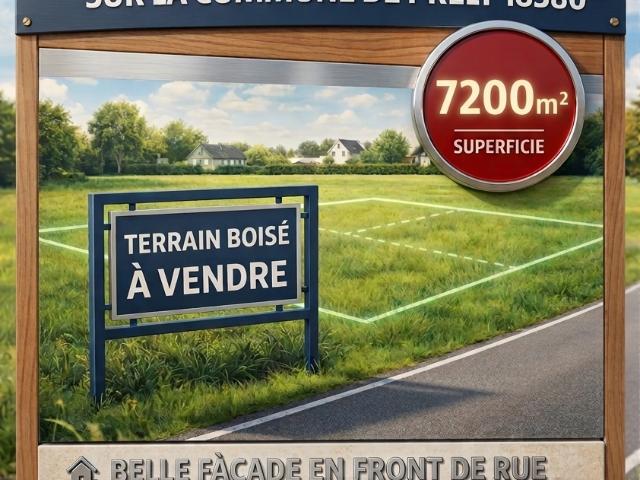Presly Vente Terrain 18