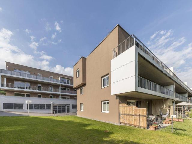 PRESSBAUM XIII/1, geförderte Mietwohnung mit Kaufoption, Wohnung 1.01 EG, 1000/00011190/00001101