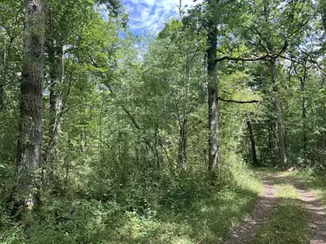 Pressigny les Pins 45290 Achat / Vente terrain