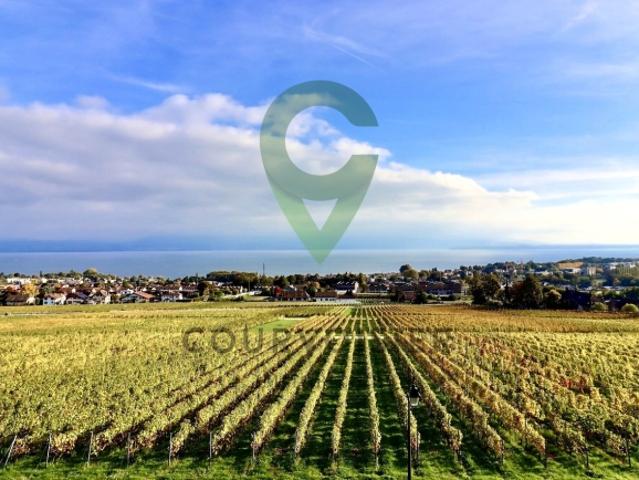 Prestigeträchtige 4,5 Zimmerwohnung mit exklusivem See und Bergpanorama