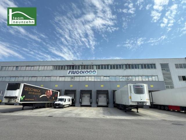 Prestigeträchtiges Büro mit 606 m2 zu vermieten Maria Lanzendorf, Österreich