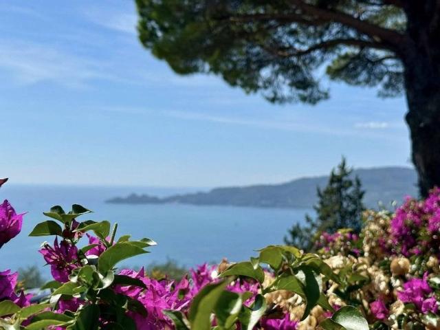 Prestigiosa villa di 400 mq in vendita, Sant'Andrea di Rovereto, Santa Margherita Ligure, Liguria
