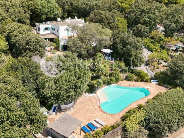 Prestigiosa villa di 500 mq in vendita, San Felice Circeo, Italia