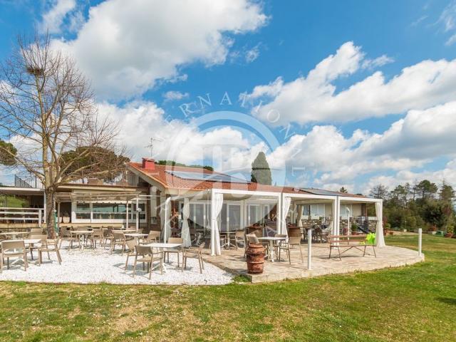 Prestigiosa villa di 671 mq in vendita Greve in Chianti, Toscana