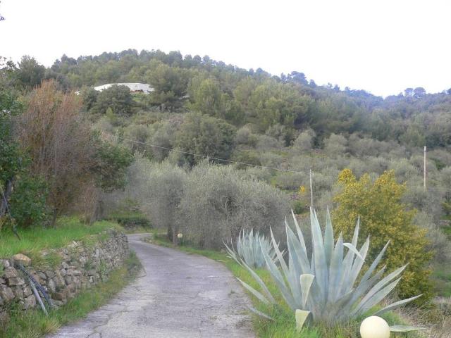 Prestigiosa villa di 800 mq in vendita Sanremo, Italia