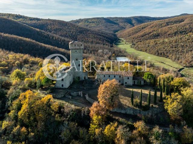 Prestigiosa villa di 1080 mq in vendita, Passignano sul Trasimeno, Italia
