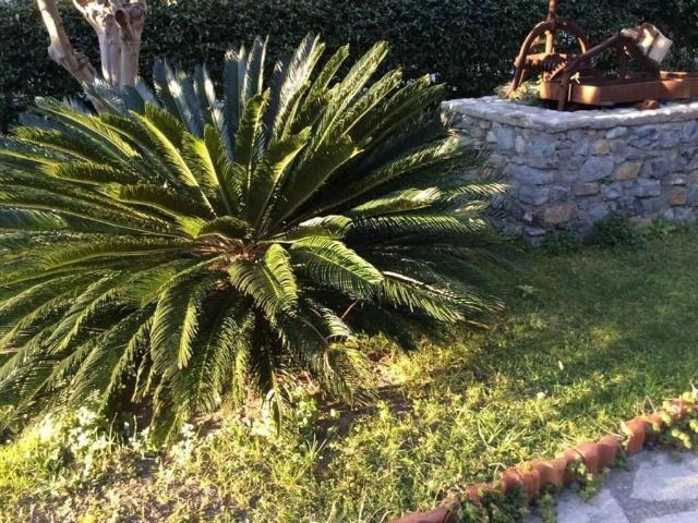 Prestigiosa villa di 140 mq in vendita Ventimiglia, Liguria