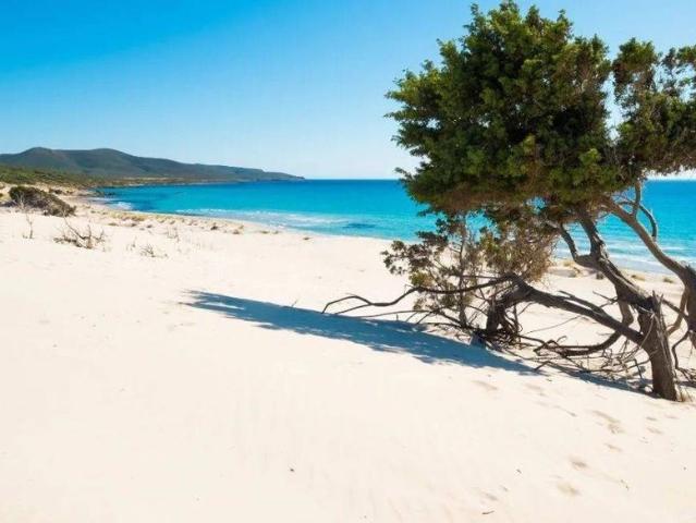 Prestigiosa villa di 150 mq in vendita, Via Porto Pino, Sant'Anna Arresi, Sardegna