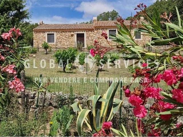 Prestigiosa villa di 167 mq in vendita Saraghino, Olbia, Sardegna