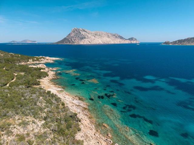 Prestigiosa villa di 248 mq in vendita, Via Punta Molara, San Teodoro, Sassari, Sardegna