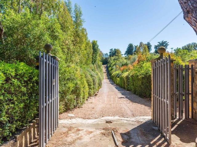 Prestigiosa villa di 258 mq in vendita, Via Campocane, Capalbio, Toscana
