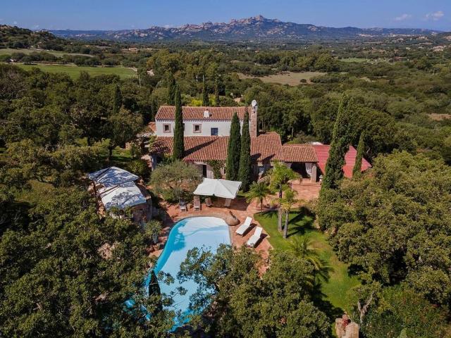 Prestigiosa villa di 350 mq in affitto, Via Stazzu Lu Saraghinu, 12/2, Olbia, Sardegna