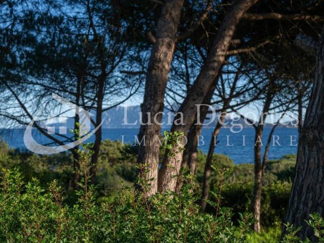 Prestigiosa villa in vendita Via Mar delle Antille, Olbia, Sardegna