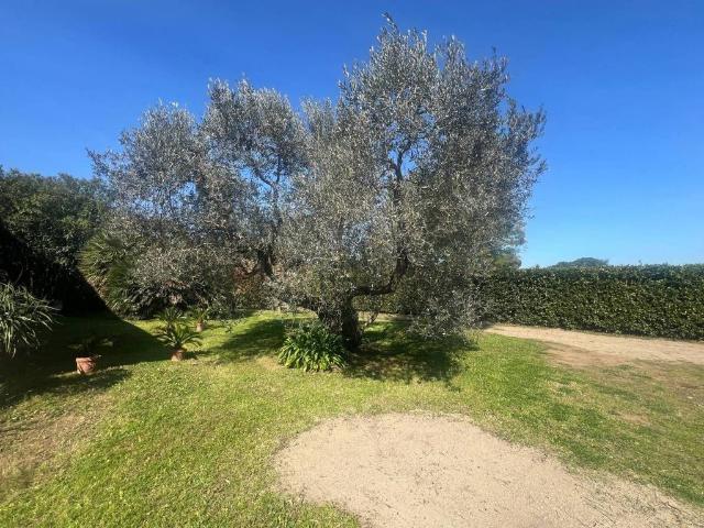 Prestigiosa villa in vendita Via Po, 6, Castagneto Carducci, Toscana