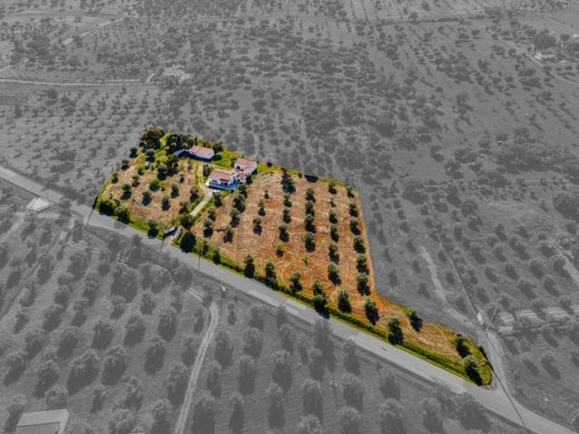 Casa de luxo de 148 m² à venda Serpa, Beja