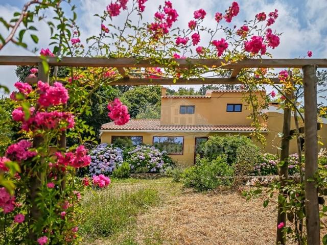 Prestigiosa casa de 149 m² à venda Ulgueira, Sintra, Lisboa