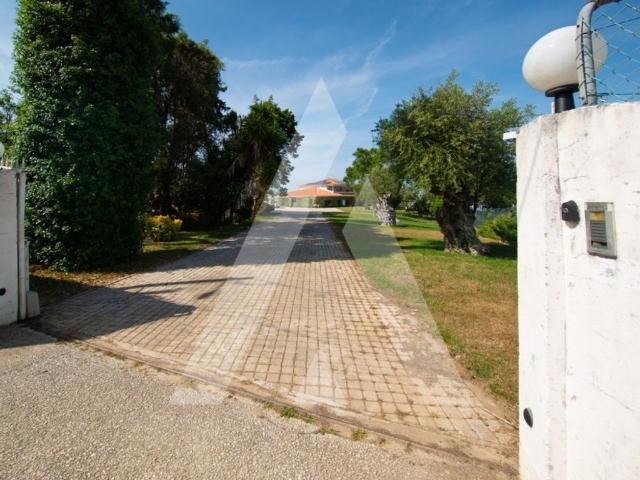 Prestigiosa casa de 1354 m² para alugar Leiria, Portugal
