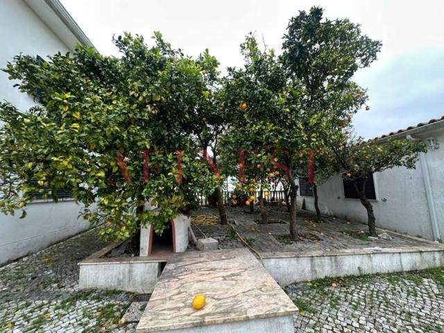 Prestigiosa casa de 259 m² à venda Algueirao, Sintra, Lisboa