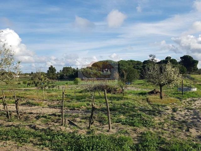 Prestigiosa casa de 260 m² à venda Aldeia da Justa, Grândola, Setúbal