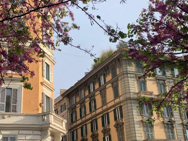 Prestigioso appartamento di 118 m² in vendita Via Ofanto, Roma, Lazio
