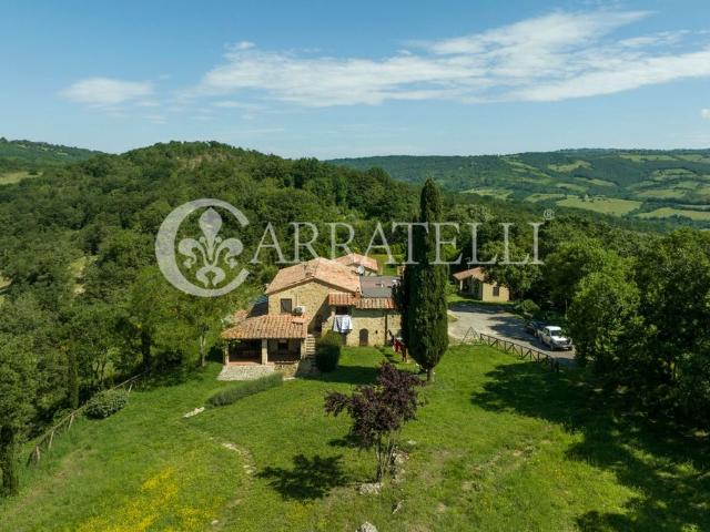 Prestigioso casale di 1150 mq in vendita Scansano, Italia