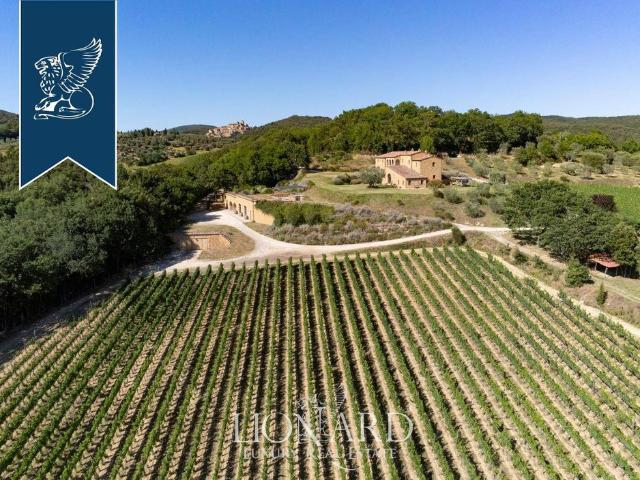Prestigioso casale di 1190 mq in vendita Trequanda, Toscana