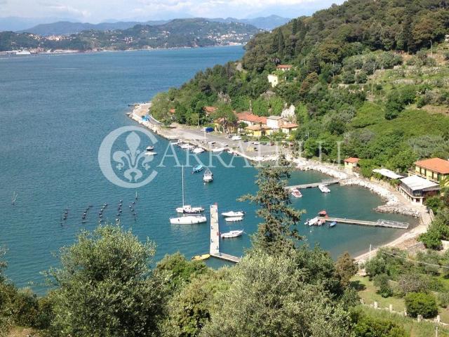 Prestigioso casale in vendita Portovenere, Italia