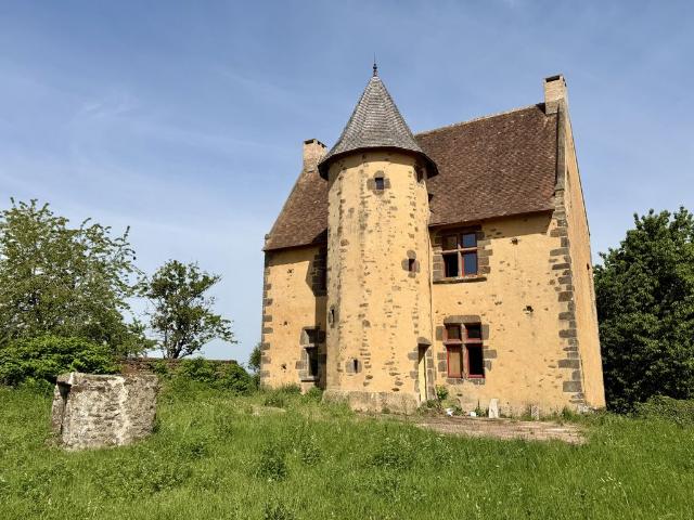 Prestigieuse Maison en vente Mézières sous Lavardin, France
