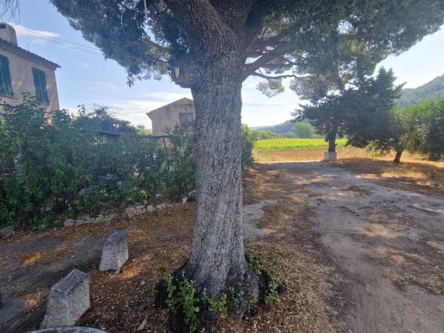 Prestigieuse Maison en vente Le Castellet, Provence Alpes Côte d'Azur