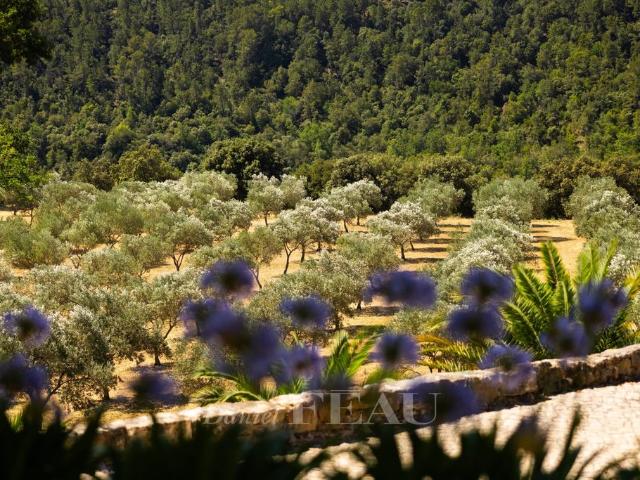 Prestigieuse Maison en vente Lorgues, Provence Alpes Côte d'Azur