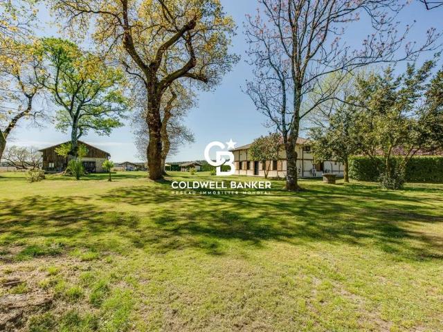 Prestigieuse Maison en vente Rion des Landes, France