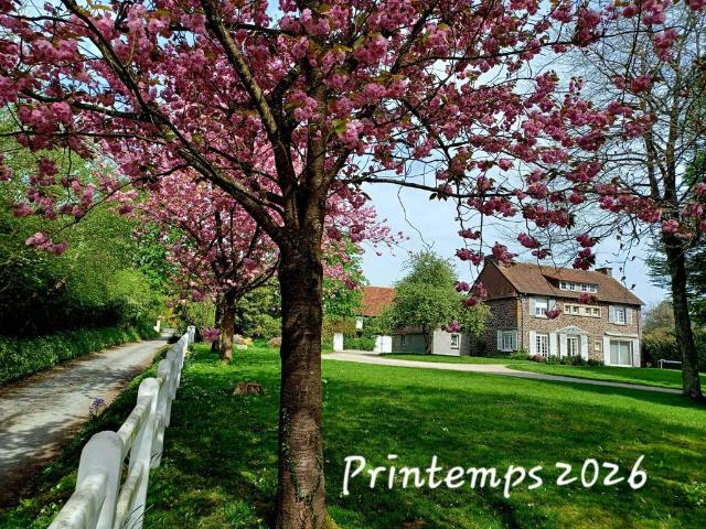Prestigieuse Maison en vente Saint Pierre de Semilly, Normandie