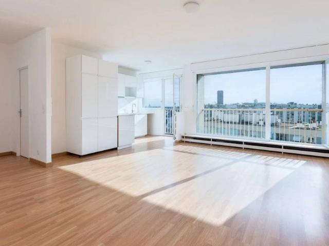 Prestigieux appartement en vente Motte Picquet, Commerce, Necker, France