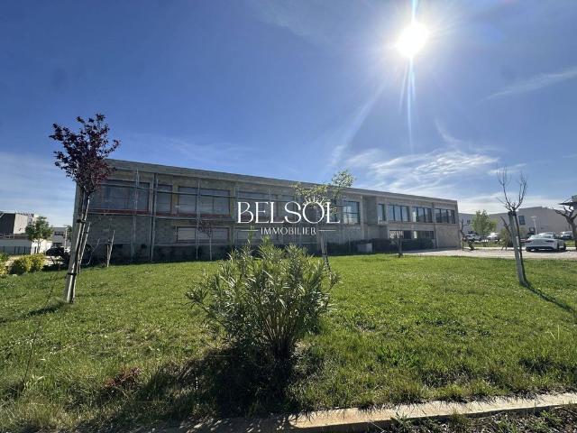Prestigieux bureau de 300 m2 en vente Perpignan, France