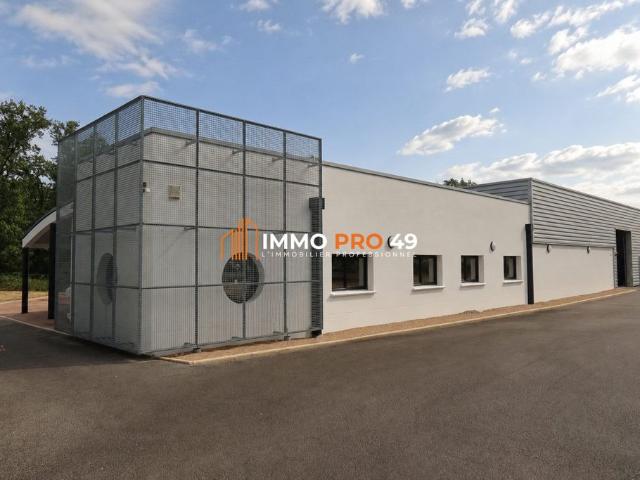 Prestigieux bureau de 767 m2 en vente Haute Goulaine, France