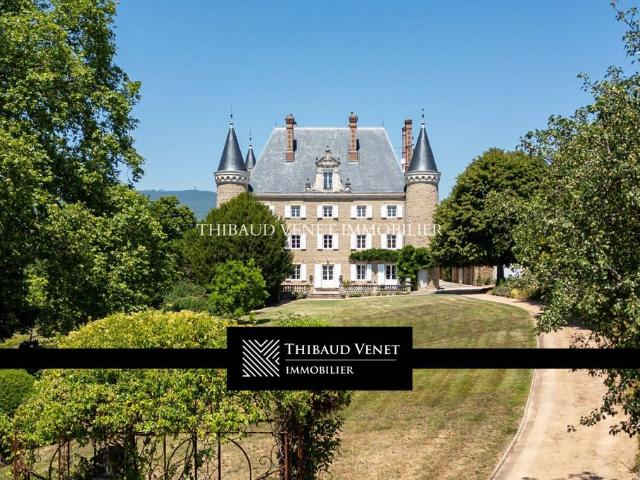 Prestigieux château de 1600 m2 en vente Belleville sur Saône, France