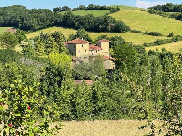 Prestigieux château de 1000 m2 en vente Mirande, France