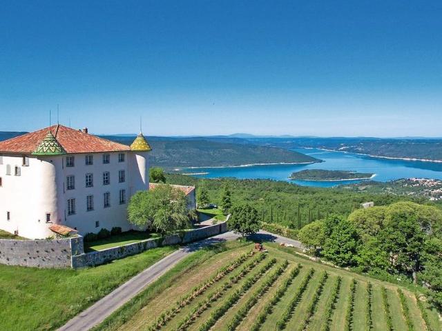 Prestigieux château de 1039 m2 en vente Cannes, Provence Alpes Côte d'Azur