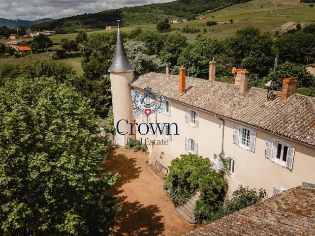 Prestigieux château de 260 m2 en vente Villefranche sur Saône, France