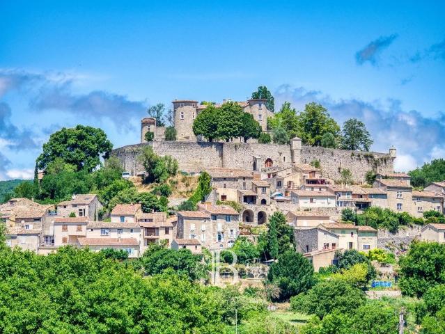 Prestigieux château de 365 m2 en vente Forcalquier, Provence Alpes Côte d'Azur