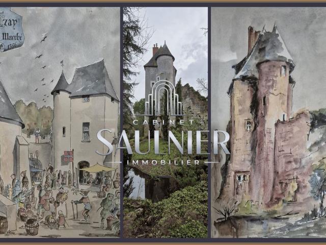 Prestigieux château de 300 m2 en vente Azay sur Cher, Centre