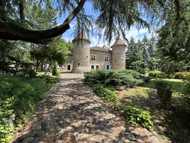 Prestigieux château de 329 m2 en vente Saint Romain d'Albon, France