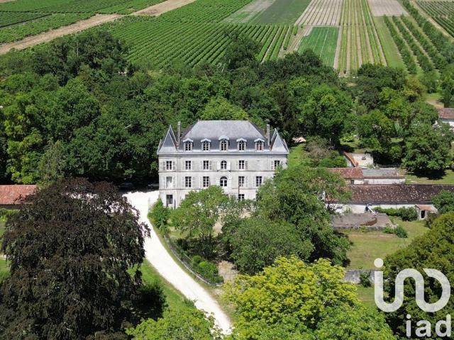 Prestigieux château de 480 m2 en vente Segonzac, France