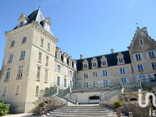 Prestigieux château de 4200 m2 en vente Blet, France